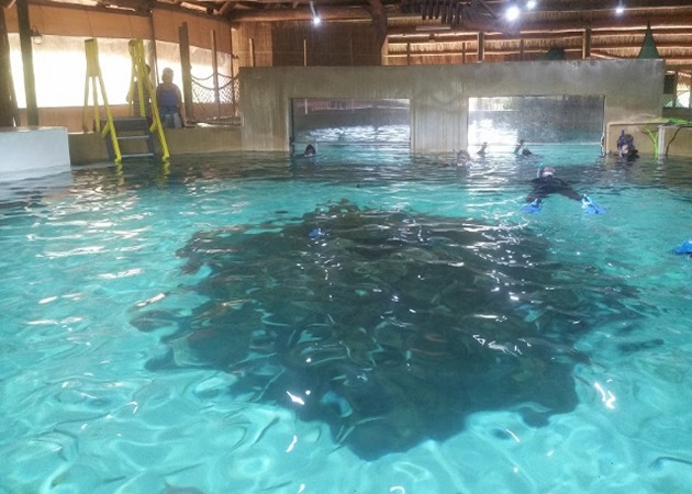 Sea Isle Area Activities - Florida Keys Aquarium Encounters