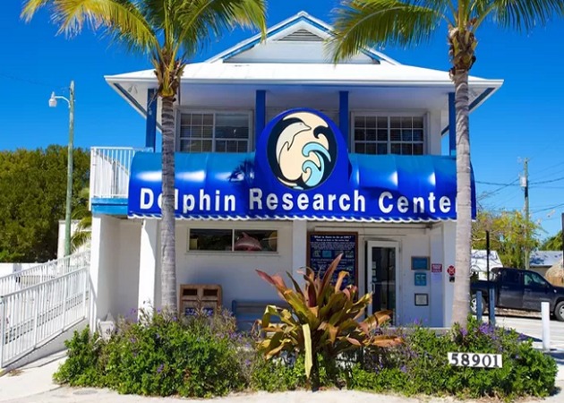 Sea Isle Area Activities - Dolphin Research Center